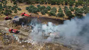 Aydın Kuyucak'ta orman yangını korkuttu