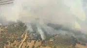 Aydın Bozdoğan'da tarım arazisi alevlere teslim oldu