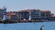 Marmara’nın maviliğinde iki yunus sürpriz yaptı