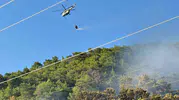 Muğla Ortaca'daki orman yangınında korkulan olmadı