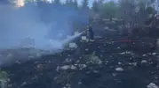 Isparta'da yangına müdahale eden itfaiyeyi arılar bastı