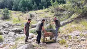 Kahramanmaraşlı ekipler yaralı dağ keçisini tekrar dağlara kavuşturdu