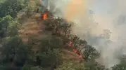 Tosya’da orman yangını 40 dönümü küle çevirdi