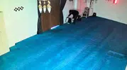 İnegöl'de cami hırsızlığı İki aylık yardım birikimi çalındı