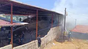 Hatay’daki çiftlik yangını küçükbaş hayvancılığı vurdu