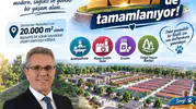 Nazilli sokak hayvanları için dev yaşam merkezi kuruyor