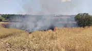 Elazığ Poyraz Köyü arazisinde yükselen alevler söndürüldü