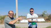 Aydınlı pamuk üreticisi için tarlalara akıllı tuzaklar yerleştirildi