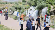 Muradiye Şelalesi bu yaz her zamankinden daha gür akıyor