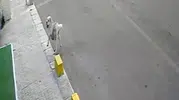 Tekirdağ'da mahalleliyi üzen kaza