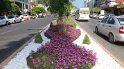 Alanya'da kuru ot temizliği yangın riskini önleyecek