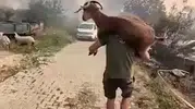 Muğla yangınında can kurtaran o anlar