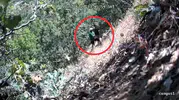 Diyarbakırda siyasetçinin kenevir mesaisi fotokapana takıldı