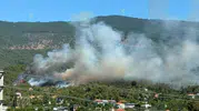 Çine ormanlarında korkutan dumanlar yükseliyor
