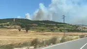 Susurluk ormanlarında dumanlar yükseliyor