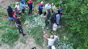 Düzce ormanlarında ıhlamur mesaisi başladı