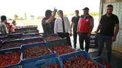 Afyon’da kiraz mevsimi açıldı