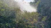 Balıkesir'de aynı gün beş noktada yangın alarmı