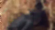 Adıyaman'daki anız yangını bahçeyi küle çevirdi