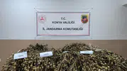 Konya jandarmasından iki haftalık uyuşturucu temizliği