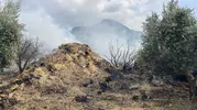 Osmaniye'de çocukların oyununa kurban giden samanlar kül oldu