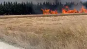 Silivri’de direk kesimi tarlaları küle çevirdi