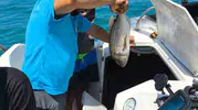 Söke kıyılarında balıkçı teknelerine sıkı denetim
