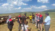 Kars yaylalarında 10 bin hayvan sağlık kontrolünden geçti