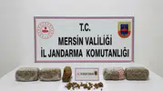 Mersin'de uyuşturucu operasyonu İki kişi cezaevine gönderildi