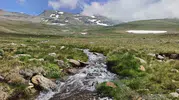 Ordu yaylalarında kar ve bahar aynı kadranda