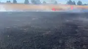 Karabük'te rüzgarın körüklediği anız yangını tarlaları küle çevirdi
