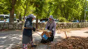 Karacabey Belediyesi ilçe genelinde çevre düzenlemesine hız verdi