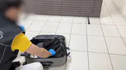 Valizin astarına gizlenen sıvı uyuşturucuyu Mailo fark etti