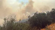Çanakkale Ayvacık'ta alevler hızla yayılıyor