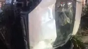 Bakırköy'de kontrolden çıkan otomobil takla atıp park halindeki araçlara vurdu