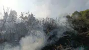 Bingöl alevlere teslim oldu ekipler müdahale etti