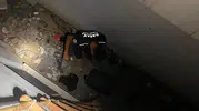 Dört ilçede mahsur kalan sokak hayvanları itfaiye ekipleri tarafından kurtarıldı