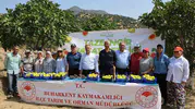 Buharkent inciri tezgaha iniyor