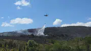 Gebze Beylikdağı’nda orman yangını korkuttu