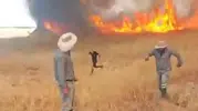 Malatya Akçadağ’da alevler tarlayı küle çevirdi