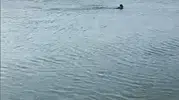 Sakarya’da gölete giren genç hayatını kaybetti
