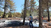 İslahiye’de orman yangını havadan müdahaleyle söndürüldü