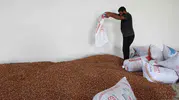 Kandıralı çiftçinin yüzü güldü: Hasat artık değerinde satılıyor