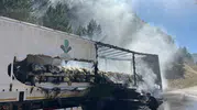 Bolu'da tır yangını ormana sıçrayarak korkuttu