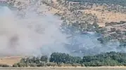 Silvan kırsalında ağaçlık alanda çıkan yangın korkuttu