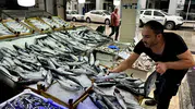 Denizlerde bereketli bir dönem başlıyor: Balıkçıların yüzünü güldürecek müjde geldi
