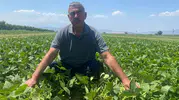 Bursa'da çiftçinin pazar derdini bitiren kooperatif modeli