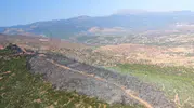 Ödemiş'te orman yangınına havadan ve karadan müdahale