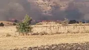 Eskişehir Seyitgazi’de tarım arazileri alevlere teslim oldu