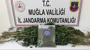 Muğla’da uyuşturucu operasyonu 33 kişi hapse girdi